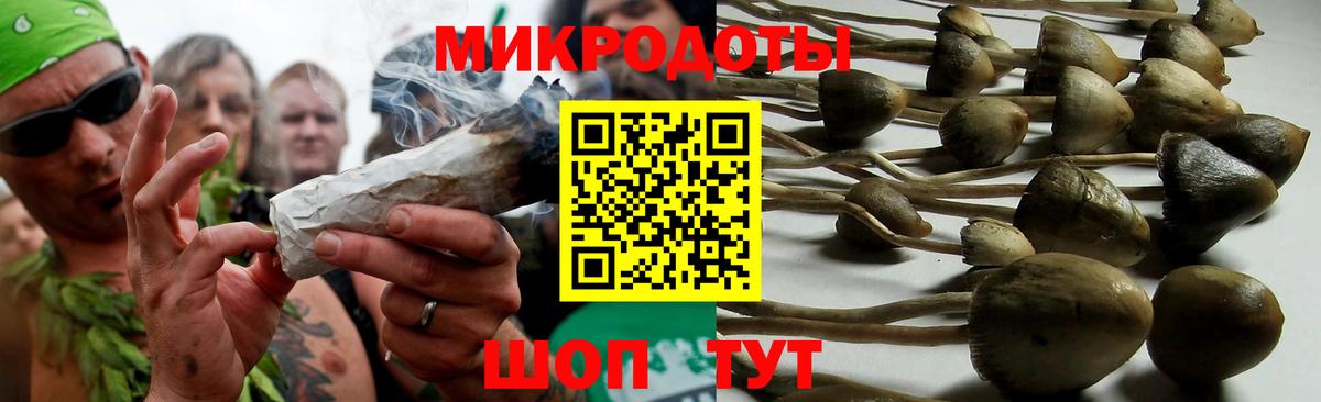 Псилоцибиновые грибы мицелий  Галлюциногенные грибы мицелий  Юрга  Вход с VPN 